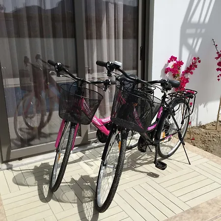 Casa Pallet (adults Only) 4* ダルヤン