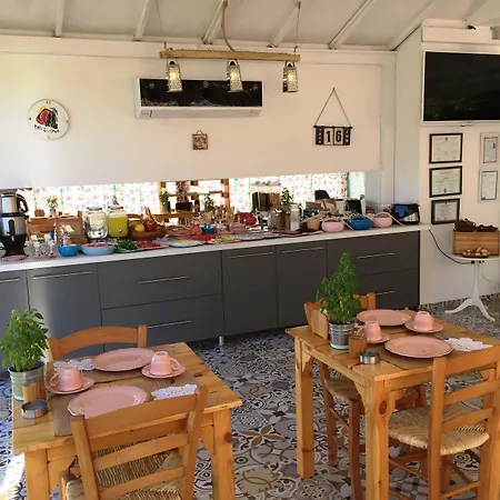 ホテル Casa Pallet (adults Only) ダルヤン