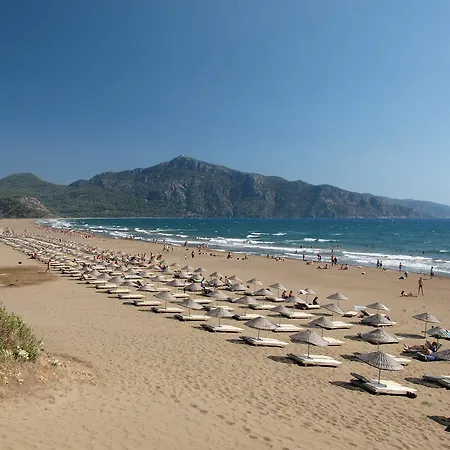 Casa Pallet (adults Only) ホテル