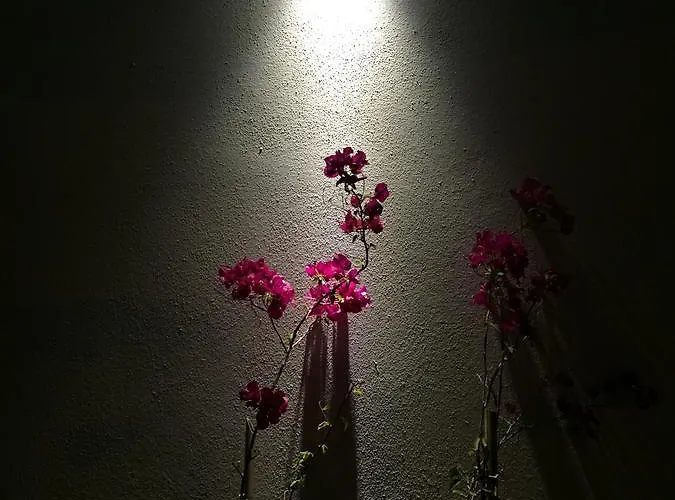 Hotell Casa Pallet (adults Only) 4*