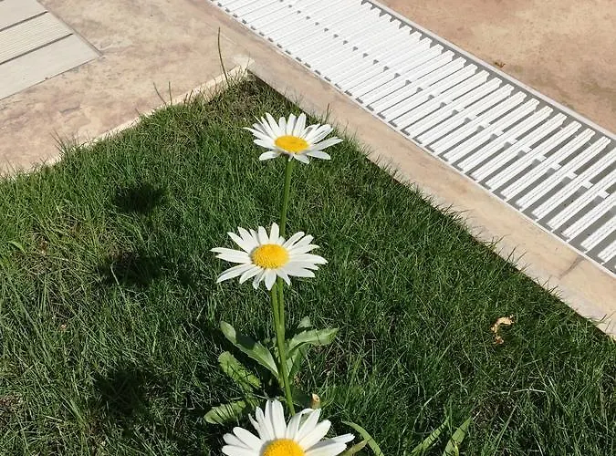 Hotell Casa Pallet (adults Only) Dalyan