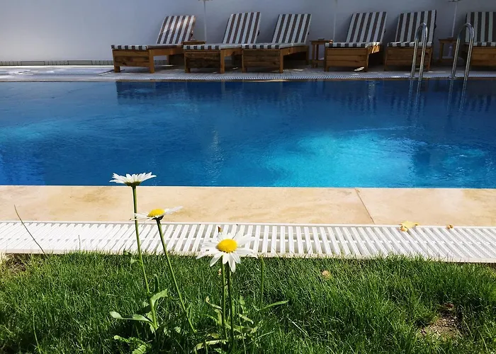 Casa Pallet (adults Only) Hotell